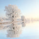 Frosty winter reflection Wall Mural