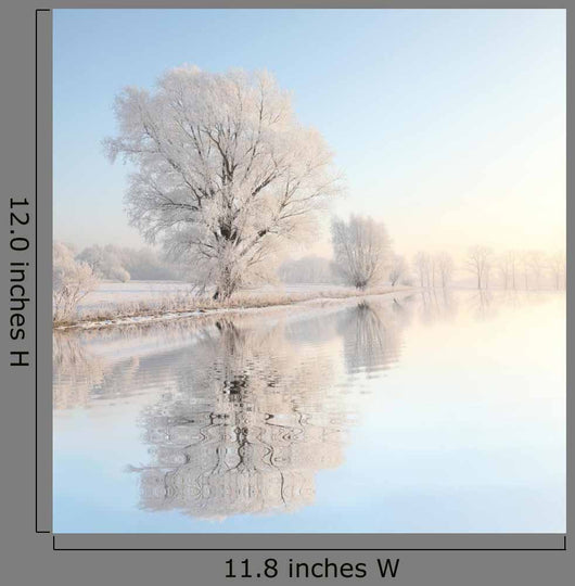 Frosty winter reflection Wall Mural