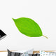 Bright Green Leaf Wall Decal