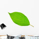 Bright Green Leaf Wall Decal
