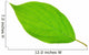 Bright Green Leaf Wall Decal