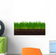 Wheat grass Wall Decal