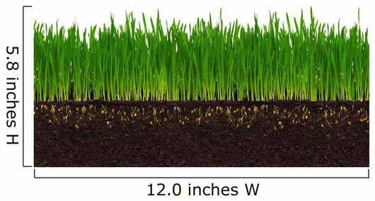 Wheat grass Wall Decal