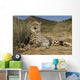Gepard