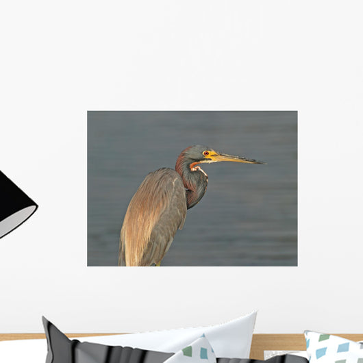 Tricolor Heron Outer Banks Wall Mural