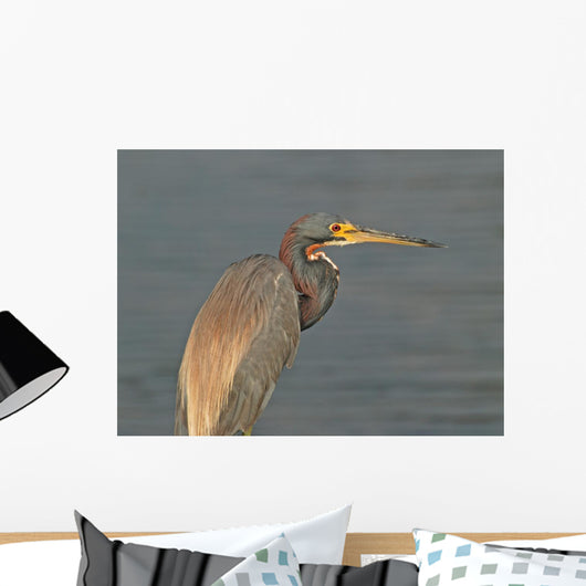 Tricolor Heron Outer Banks Wall Mural