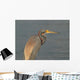 Tricolor Heron Outer Banks Wall Mural