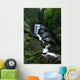 Water Falls
