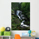 Water Falls