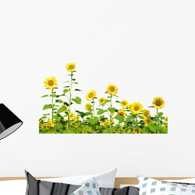 Sunflower shown on a wall