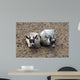 Animals Wall Mural
