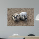 Animals Wall Mural