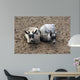 Animals Wall Mural
