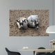 Animals Wall Mural
