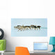 Dog sledging trip in cold snowy winter, Greenland Wall Mural