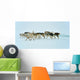 Dog sledging trip in cold snowy winter, Greenland Wall Mural