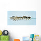 Dog sledging trip in cold snowy winter, Greenland Wall Mural