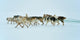 Dog sledging trip in cold snowy winter, Greenland Wall Mural