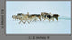 Dog sledging trip in cold snowy winter, Greenland Wall Mural