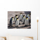 Group Penguins