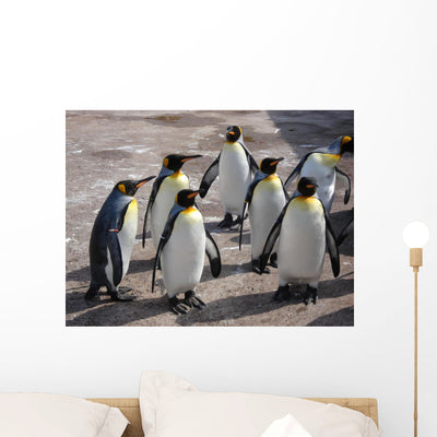 Group Penguins shown on a wall