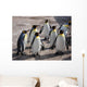 Group Penguins