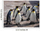 Group Penguins
