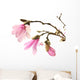 Pink Magnolia Flowers Wall Decal