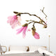 Pink Magnolia Flowers Wall Decal