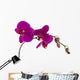 Orchid Wall Mural