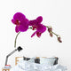 Orchid Wall Mural
