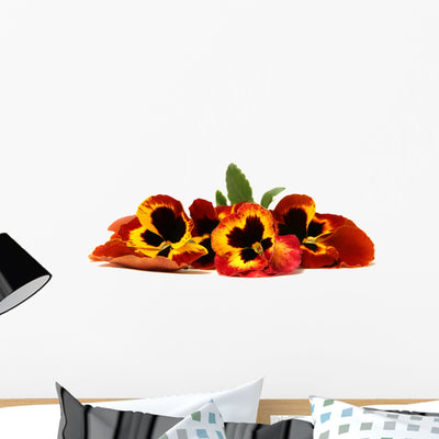Pansy Wall Decal shown on a wall
