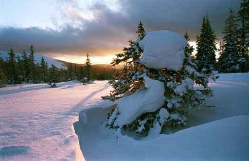 Russia South Ural Mountain Wall Decal