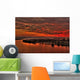 novi sad sunset Wall Mural