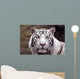 White Tiger Wall Mural