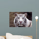 White Tiger Wall Mural