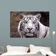 White Tiger Wall Mural