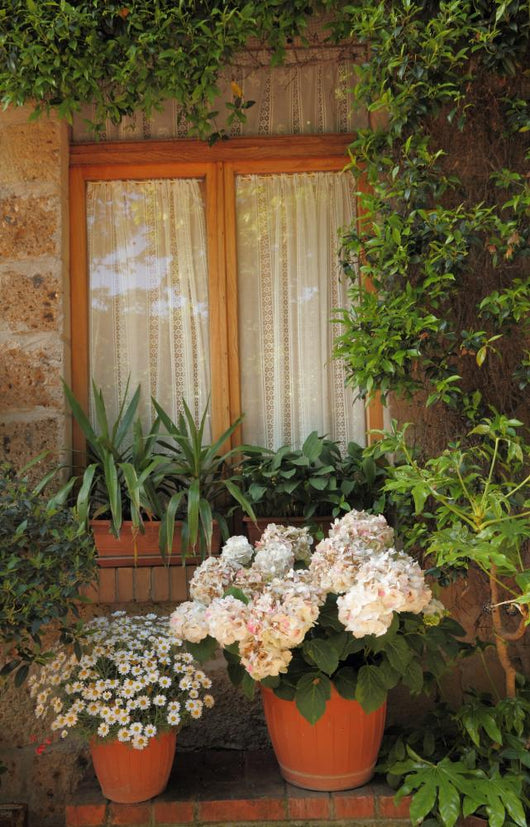 Idyllic Window Tuscany