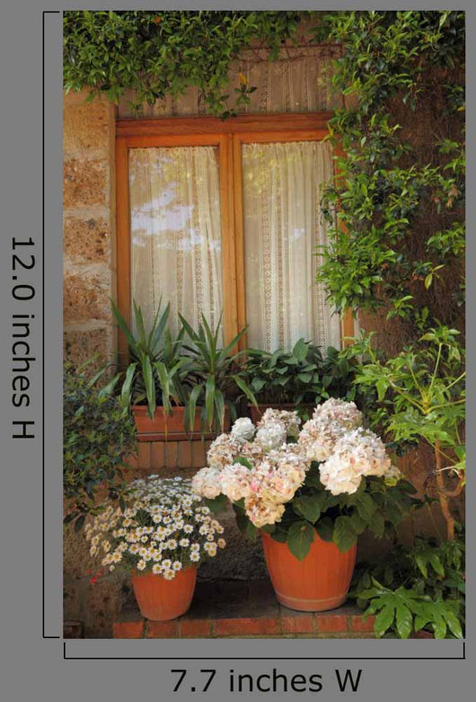 Idyllic Window Tuscany