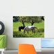 Horses Spring