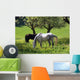 Horses Spring