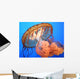 Jellyfish Wall Decal
