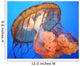 Jellyfish Wall Mural