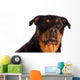 Isolated Female Rottweiler Wall Decal
