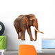 Released Elephant Wall Mural