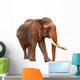 Released Elephant Wall Mural