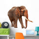 Released Elephant Wall Mural