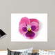 Design Element Pink Pansy Wall Decal