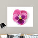 Design Element Pink Pansy Wall Decal