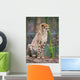 Cheeta